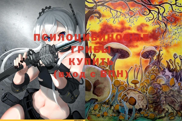 гидра Новозыбков