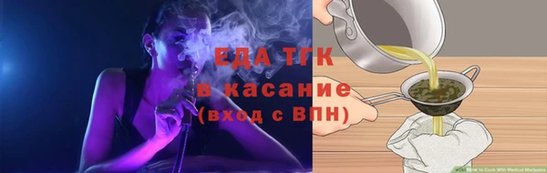 гидра Новозыбков