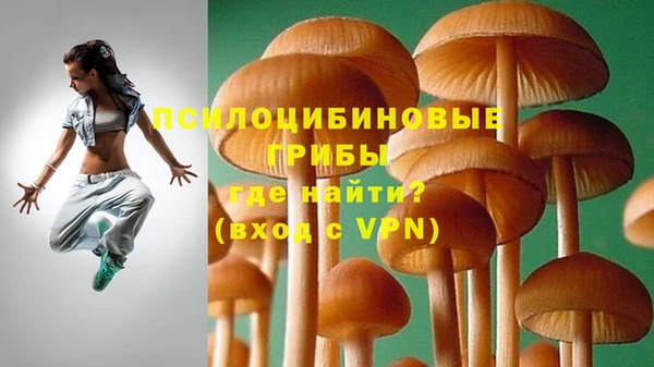 тгк Алзамай
