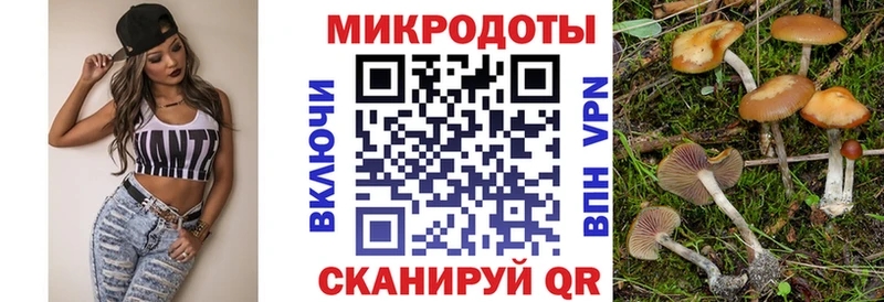 Галлюциногенные грибы MAGIC MUSHROOMS  Катайск 